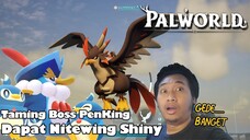 Taming Boss Penking dan Nitewing Shiny