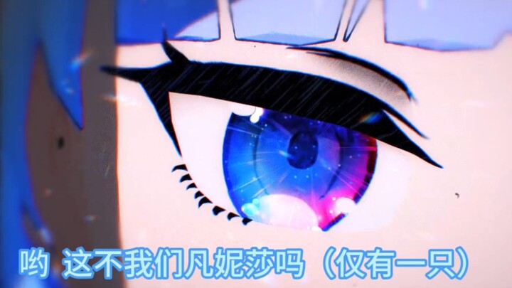 凡妮莎的大眼（全世界仅此一只）