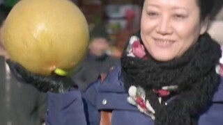 Jahe masih pedas meskipun sudah tua