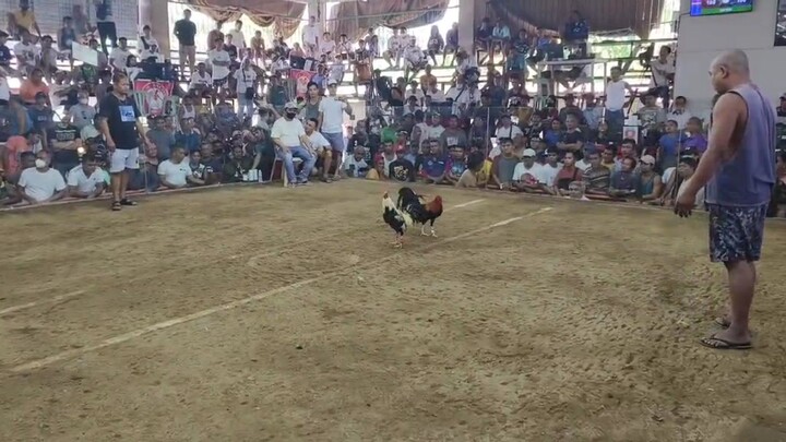 RVGF GREY 1ST WIN @ ANGONO