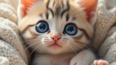 So Lovely I love it 💖💞💕