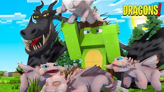 WE SAVED THE 4 BEWILDERBEAST EGGS! Minecraft Dragons