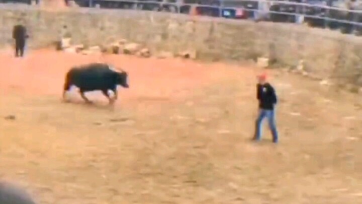 Penghargaan Kelakuan Manusia Level Max~