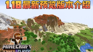我的世界 籽岷的1.18最新版本介绍 ES1