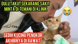 Bikin Nangis Kucing Ini Dulu Ketakutan Saat Sakit Minta Di Rawat Di Klinik..!