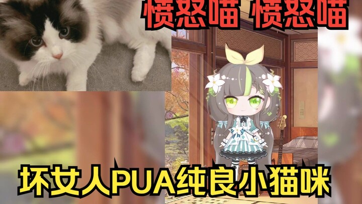 【明前奶绿】店长他们说我虐待你你有意见吗？“喵！”你还真敢有意见？