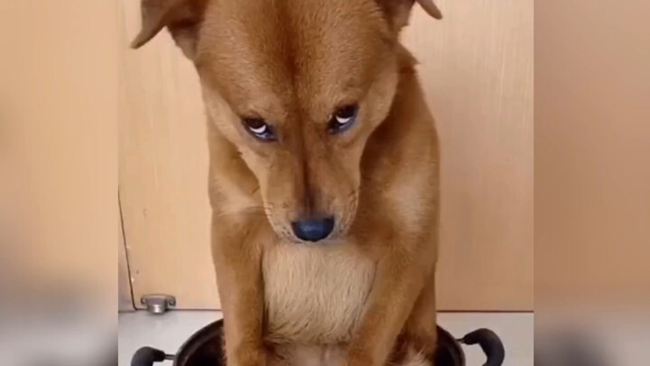 Ra khỏi tòa án thì đụng phải xe của bị đơn