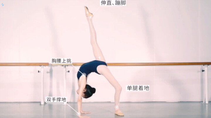 【舞蹈技巧】中国舞技术技巧训练步骤教学