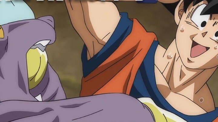 This cat is so scary. Even when he is sleeping, he makes people tremble. He is the god of destructio