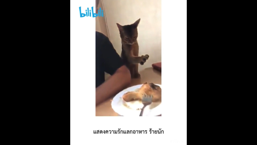 มารยาสาไถย 😍 . หากคุณชื่นชอบคลิปตลก bilibili รวมไว้ให้คุณหมดแล้ว ดาวน์โหลดเลย!