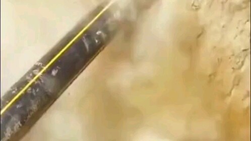 “Semoga buang air besar Anda selalu lancar”