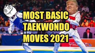 BASIC TAEKWONDO MOVES