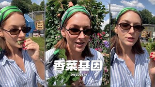 ที่จริงแล้วการชอบหรือไม่ชอบกินผักชีถูกกำหนดโดยยีน‼️ แล้วทุกคนคิดว่าผักชีมีรสชาติแบบไหนกันนะ⁉️