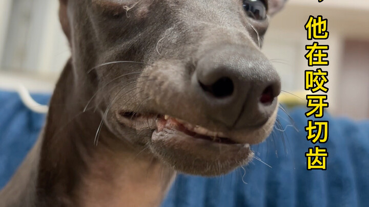 Anyway, sooner or later I'll get used to the fact that he doesn't stink...