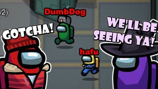 Dumb and Dumber Outsmart Hafu & DumbDog!