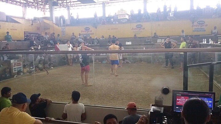 winning  line ni boss chat