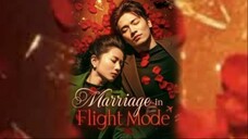 Marriage In Flight Mode