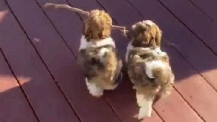 “มันเหมือนรู้ตัวว่าตัวเองน่ารักนะ”