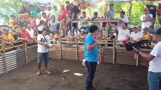 Sabong/Tupada:  Win/TALISAY PATAY RIN!!