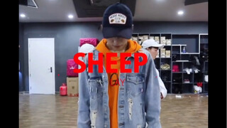 王子浩2018年sheep舞蹈