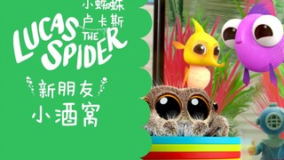 小蜘蛛卢卡斯：又有新朋友出现啦——爱说冷笑话的小酒窝