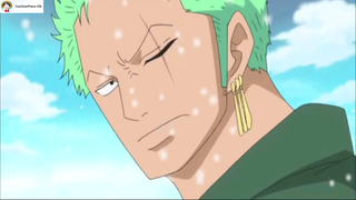 Zoro ngơ ngác vẫn chưa hiểu chuyện gì xảy ra... #onepiece #vuahaitac #shooltime