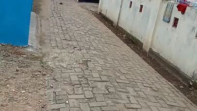 CEK SOUND SYSTEM BOX 12IN LINE ARRAY DOBLE