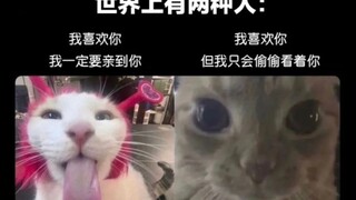 「每日弔图」“当你吃他玉米的同时按摩他的荔枝”＃8