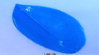 cứ cố gắng sống p1 #mytivi