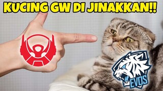 ADUHHH KUCING GW BERHASIL DI JINAKKINNNN!!! EVOS VS BTR MATCH 3