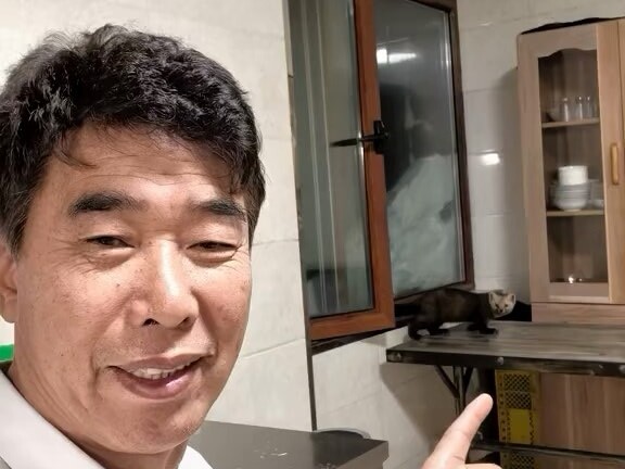 Came face-to-face with a wild sable—up close and personal. I was so scared to make eye contact or tu