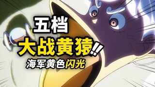 马林梵多“黄色闪光”！五档路飞vs大将黄猿！！海贼王动画1127集来了