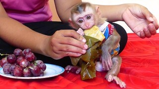 Cute Little baby Maki Very Like to eating Steamed Pumpkin Cake// Baby Monkey Eat Dessert
