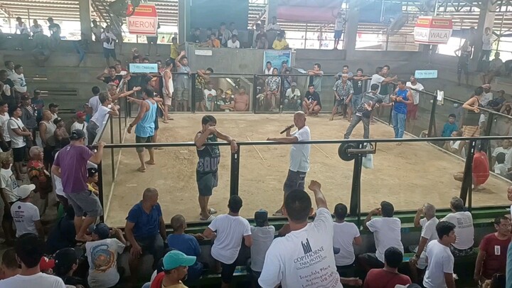 White Choco in Action