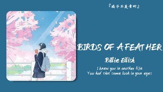 "Hmm?? Apa ini?? Ini adalah Qingxin Bili!!!" || "BIRDS OF A FEATHER"