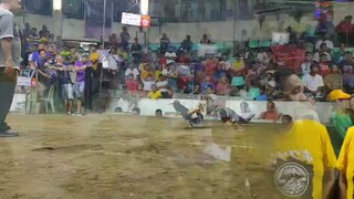 jan 16 2hits antipolo second fight win (champion)