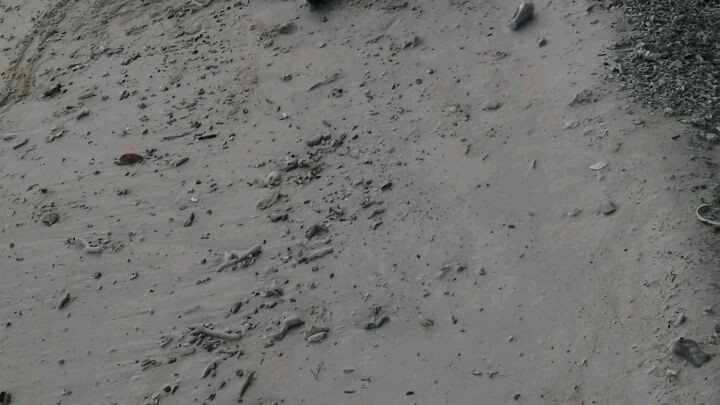 The beach