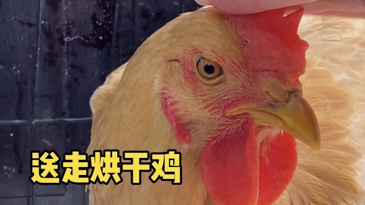 هذه الصعوبة البسيطة لا يمكن الاعتماد عليها إلا على نفسك.