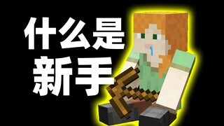 什么是新手？他说...