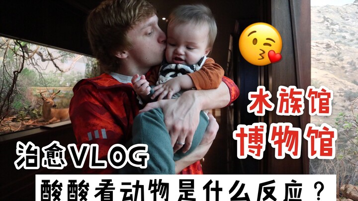 VLOG nhỏ chữa lành - Thử xem động vật phản ứng thế nào khi thấy vị chua?!