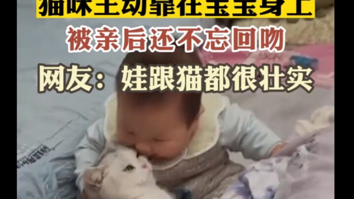 Mèo chủ động nép vào người em bé, sau khi được hôn còn không quên đáp lại bằng một nụ hôn, netizen b