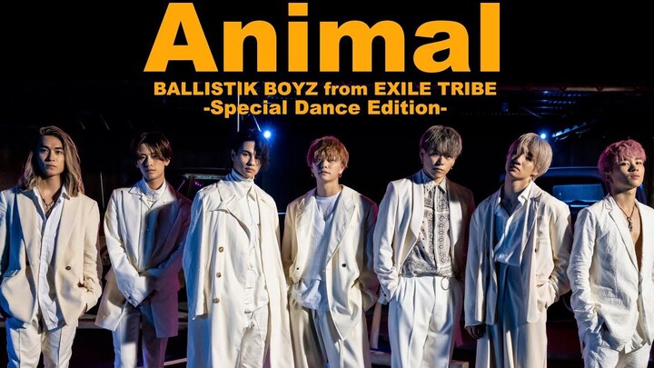 【BALLISTIK BOYZ】《Animal》มิวสิควิดีโอ - ฉบับเต้นรำพิเศษ -