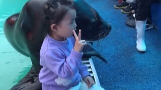 海狮和小女孩合影，一个勇敢一个配合。海狮：论拍照我可是专业的