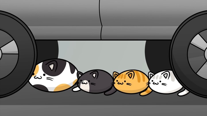 Once I find my big sister, I’ll finally stop being a lonely stray cat!