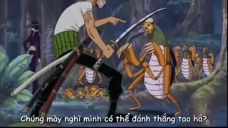 Team luffy vào rừng nghịch dại và cái kết [AMV]