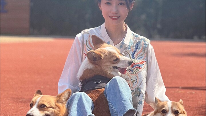 Xin chào các anh chị Shushu, Tiểu Phúc Tử đã gia nhập Bilibili rồi đây, cảm ơn mọi người đã yêu mến 