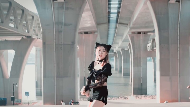aoa- Catwalk dance to the whole song. Does this little cat touch your heart?
