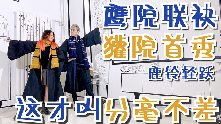 【哈利波特-鹿铃轻跃】鹰獾限定组合，看到就是赚到
