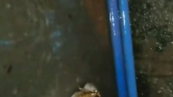 some random shit #1