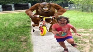 รวบรวม Memes ที่ดีที่สุด แพ้ 100% 🤣 พยายามอย่าหัวเราะ Dank Memes Compilation 2021